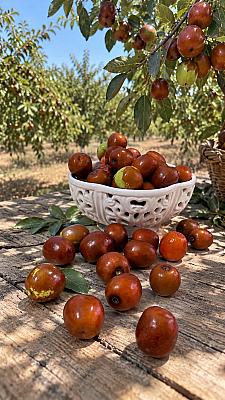 KURU HÜNNAP 2KG - Seboş'tan